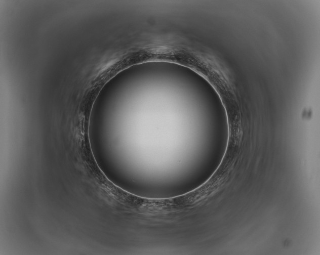 X0000096981301200802151321