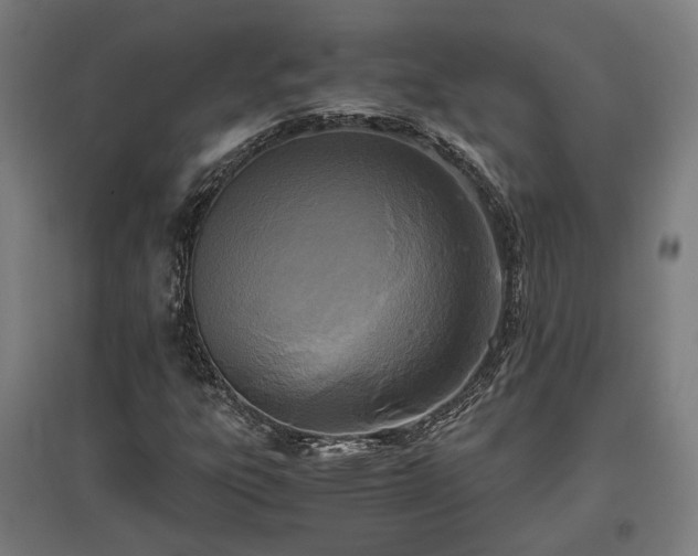 X0000096981303200802151321