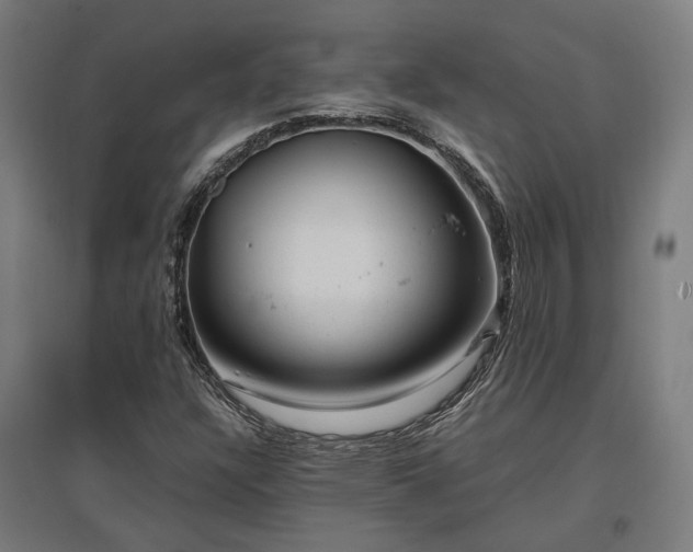 X0000096981304200802151321