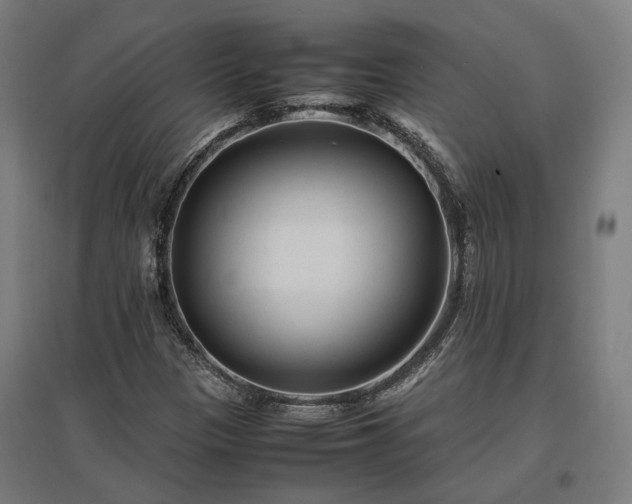X0000096981305200802151321