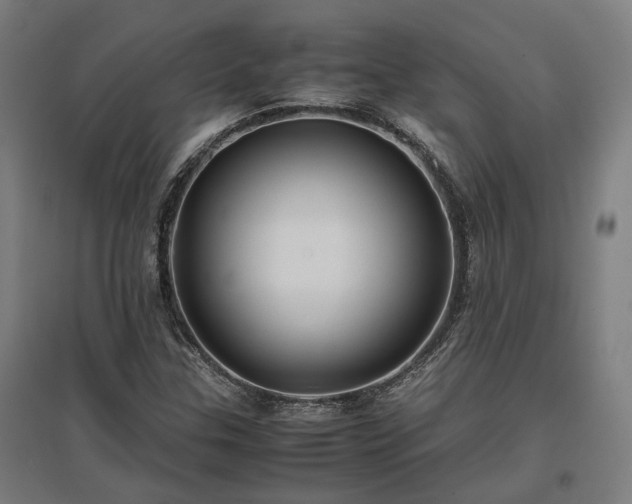 X0000096981307200802151321
