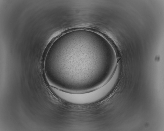 X0000096981308200802151321
