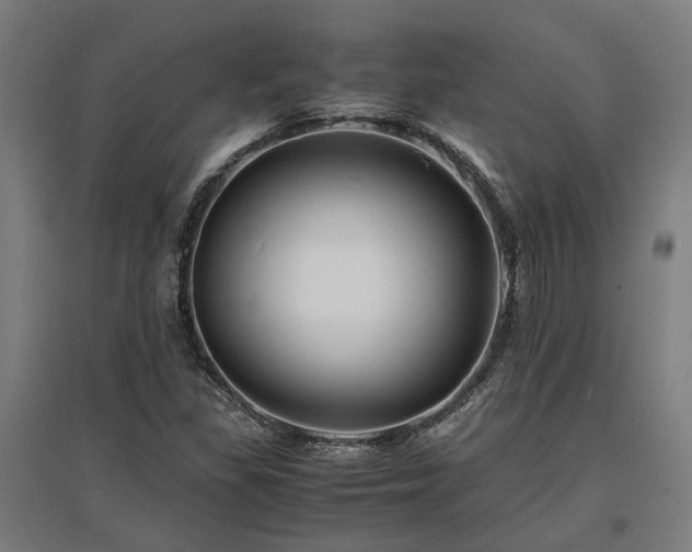 X0000096981309200802151321