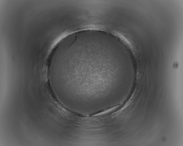 X0000096981310200802151321
