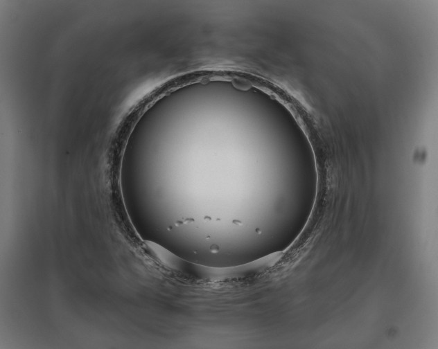 X0000096981311200802151321