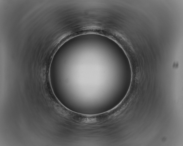X0000096981313200802151321