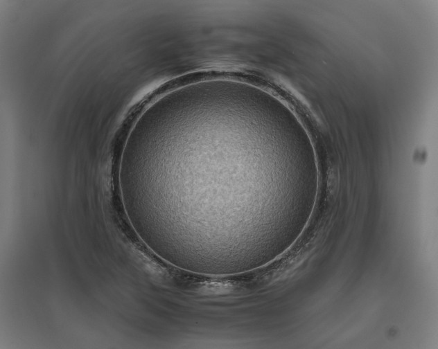 X0000096981315200802151321