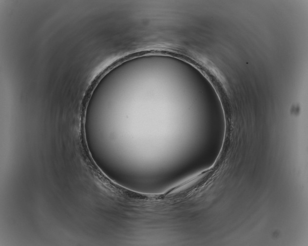 X0000096981316200802151321