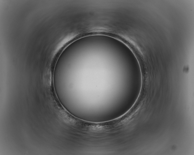 X0000096981317200802151321