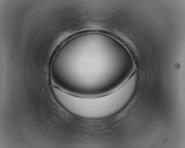 X0000096981318200802151321