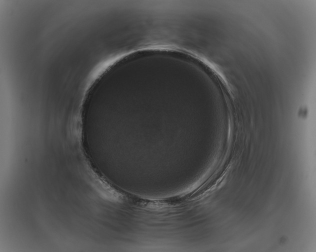 X0000096981319200802151321
