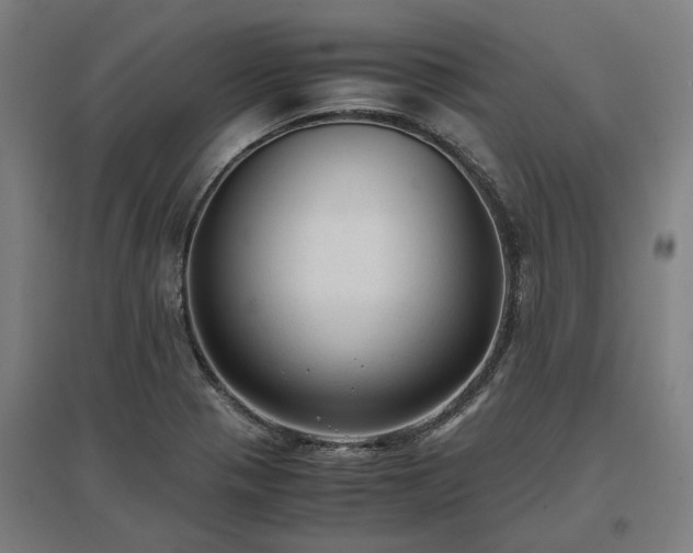 X0000096981321200802151321