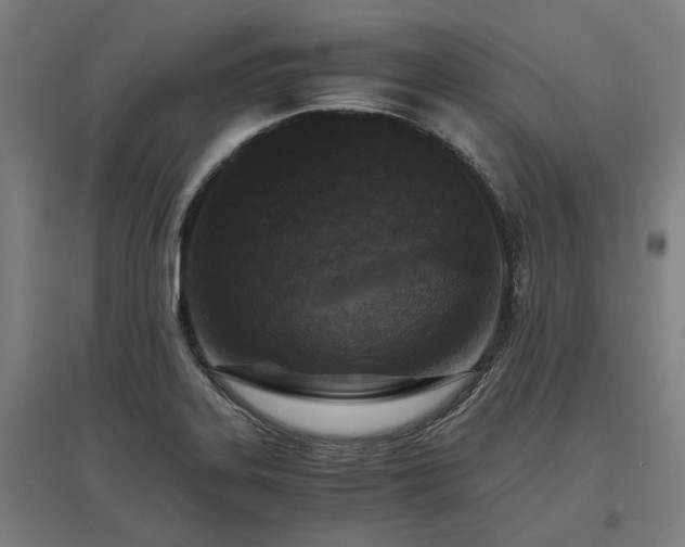 X0000096981323200802151321