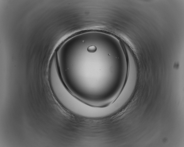 X0000096981324200802151321