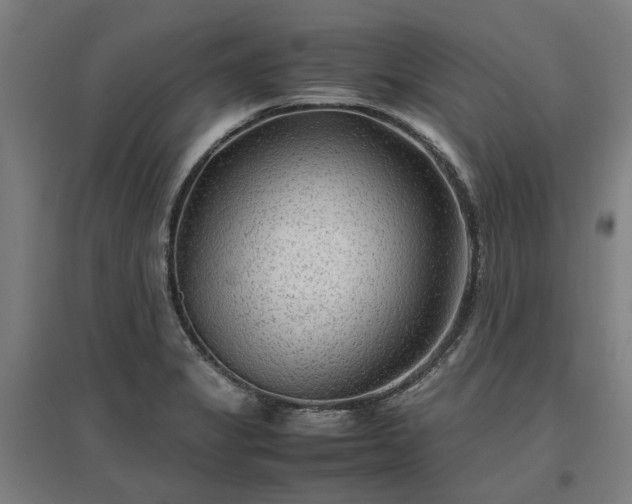 X0000096981325200802151321