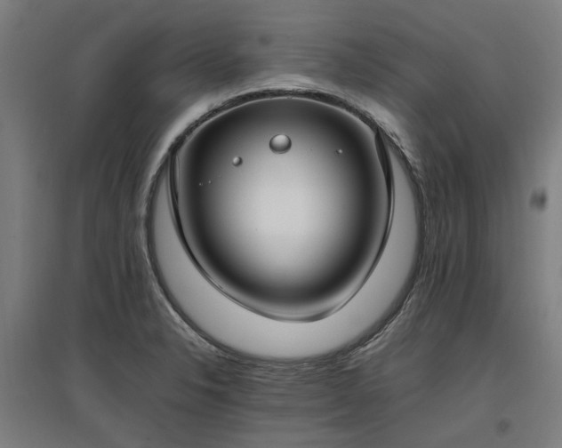 X0000096981326200802151321