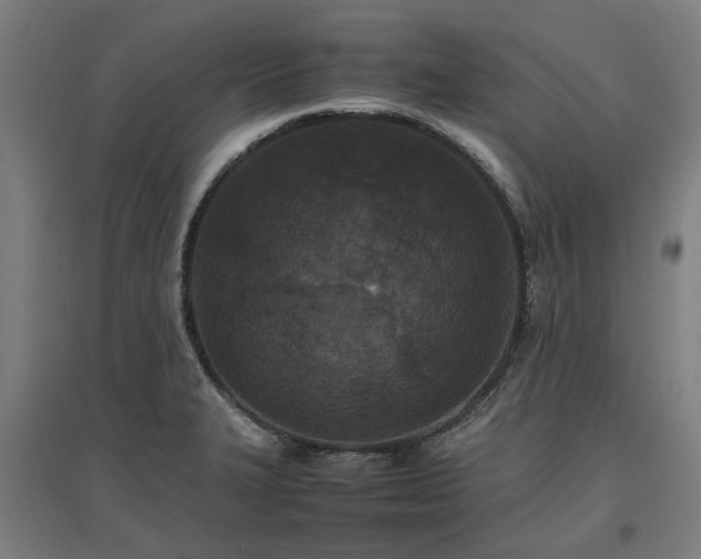 X0000096981327200802151321