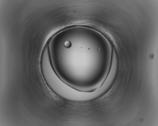X0000096981328200802151321