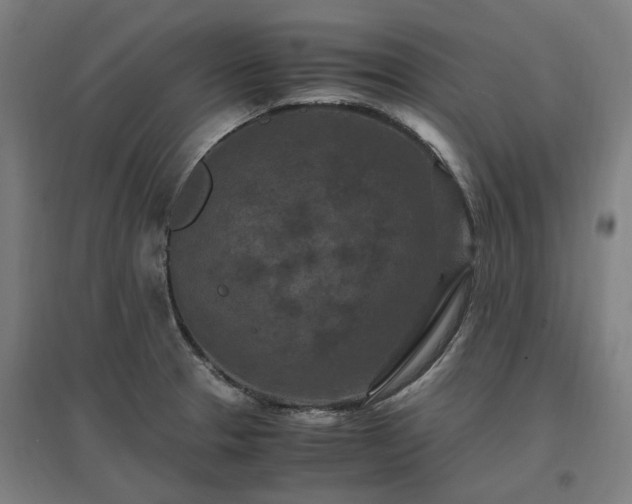 X0000096981329200802151322