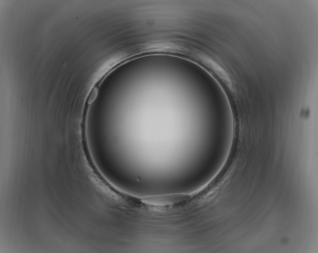 X0000096981330200802151322