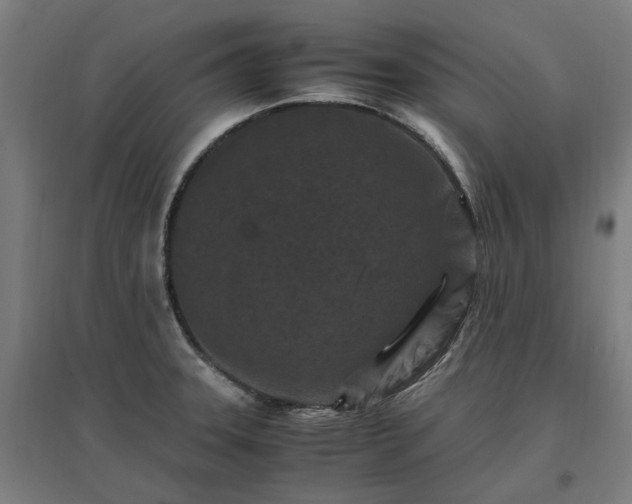 X0000096981331200802151322
