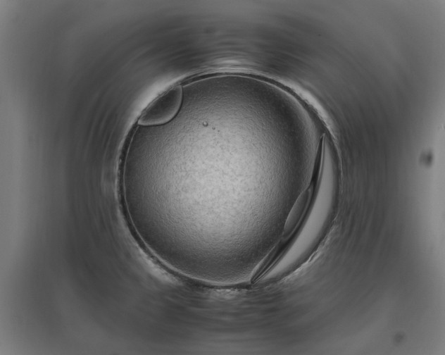 X0000096981333200802151322