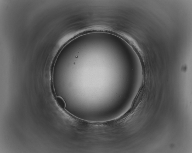 X0000096981335200802151322