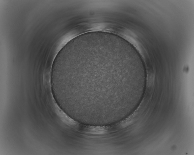 X0000096981338200802151322