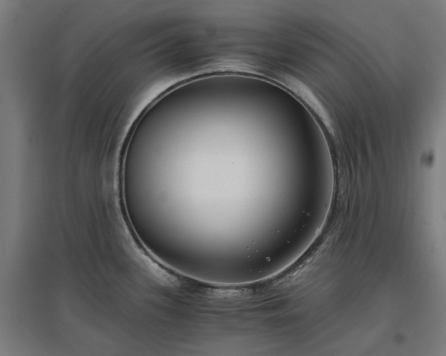 X0000096981339200802151322