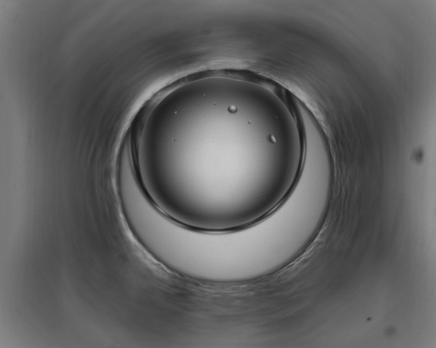 X0000096981342200802151322