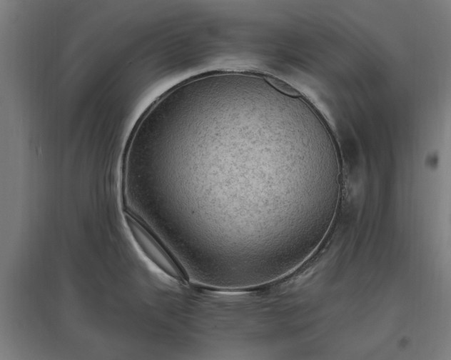 X0000096981343200802151322
