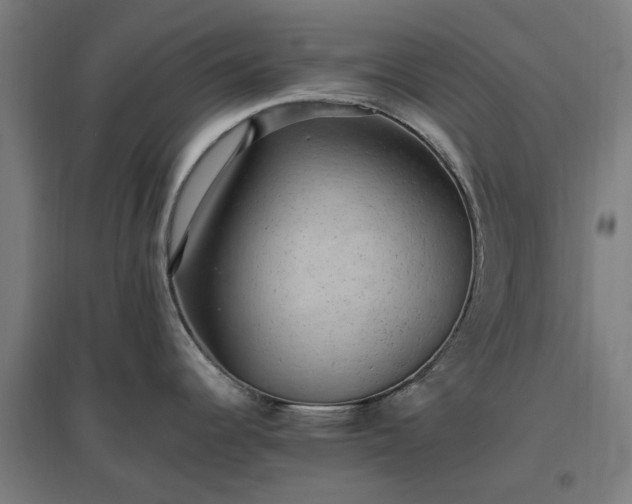 X0000096981344200802151322