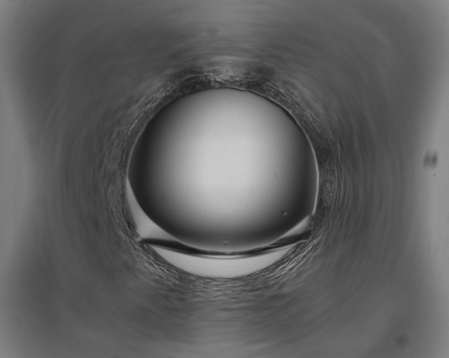 X0000096981345200802151321