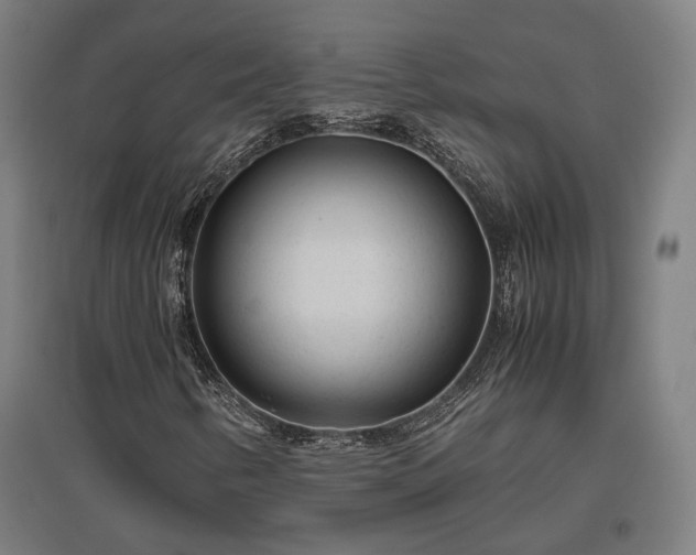 X0000096981346200802151321