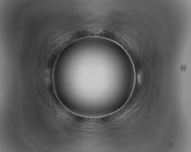 X0000096981347200802151321