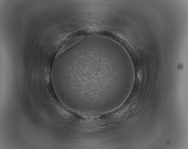 X0000096981348200802151321