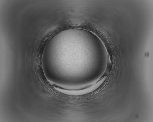 X0000096981349200802151321
