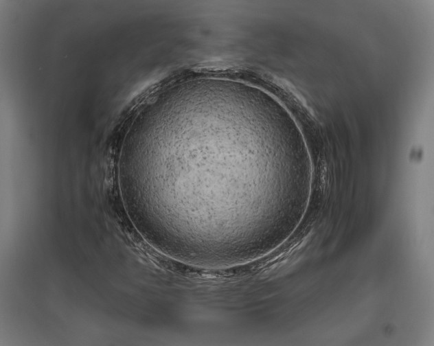X0000096981350200802151321