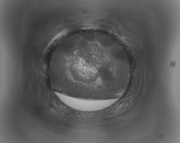 X0000096981351200802151321