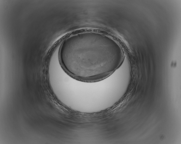 X0000096981352200802151321