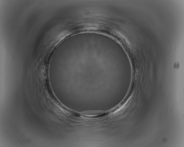X0000096981353200802151321