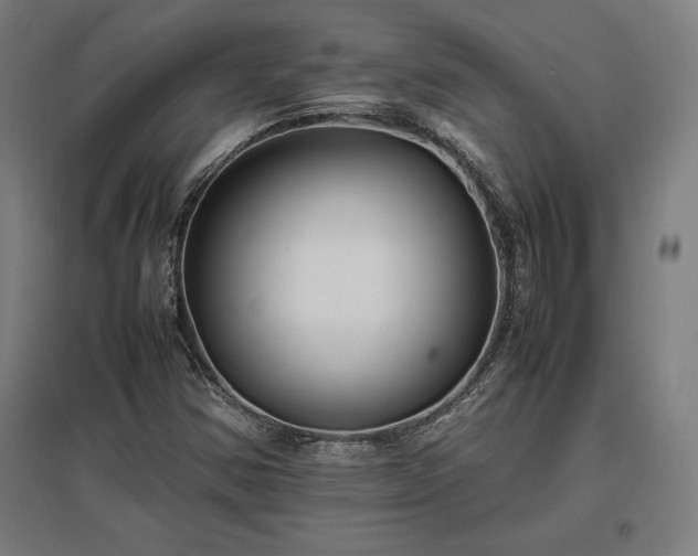 X0000096981354200802151321