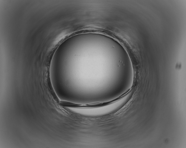 X0000096981355200802151321