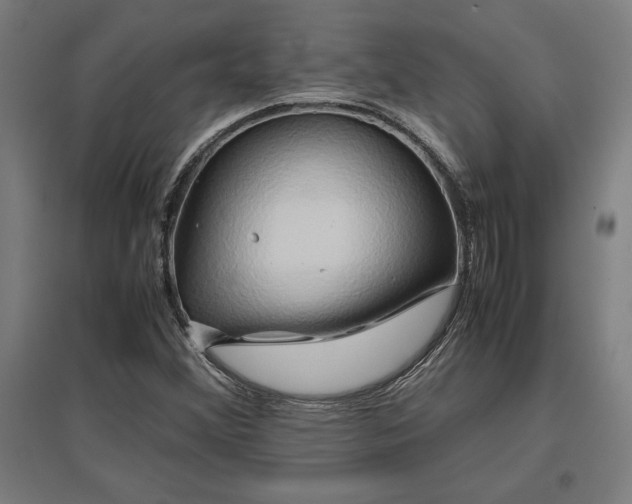 X0000096981356200802151321