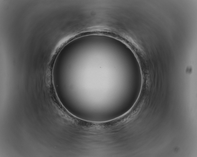 X0000096981358200802151321
