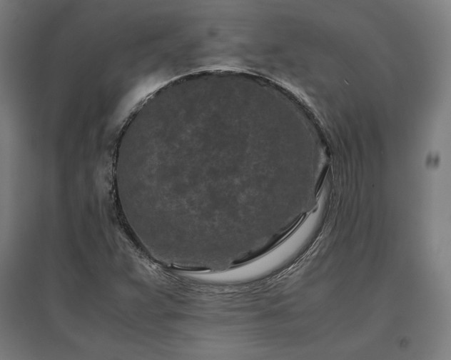 X0000096981359200802151321