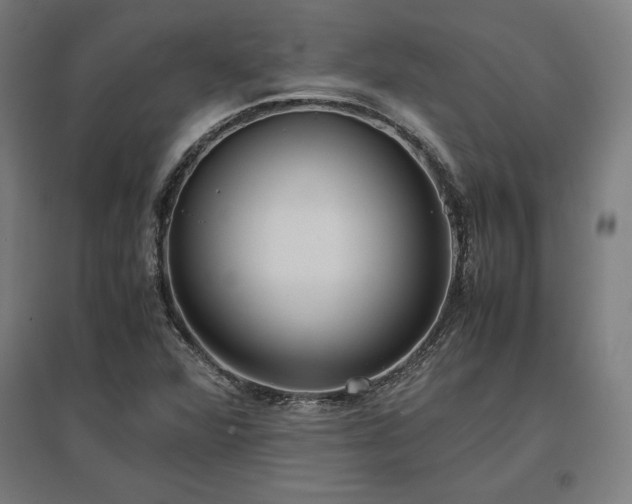X0000096981360200802151321