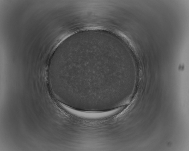 X0000096981361200802151321