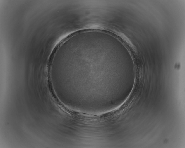 X0000096981364200802151321