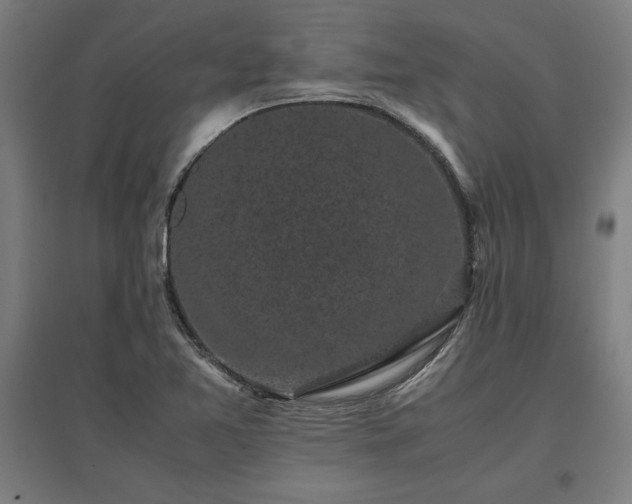 X0000096981365200802151321